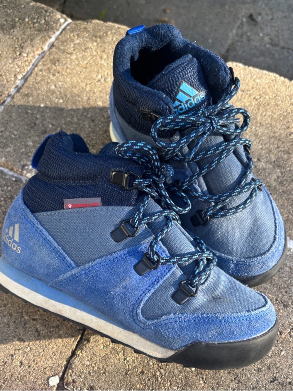 adidas Kids Blue Navy Mid-Top Hiking Boots